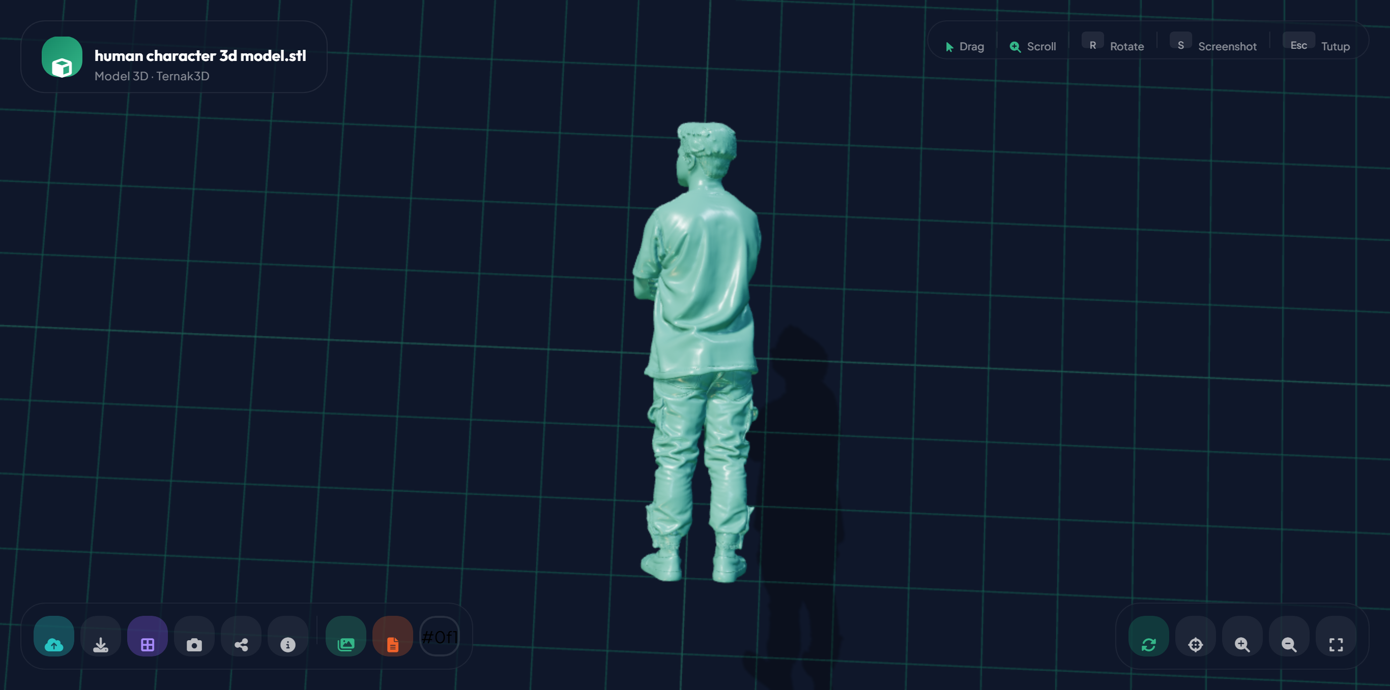Human Miniatur